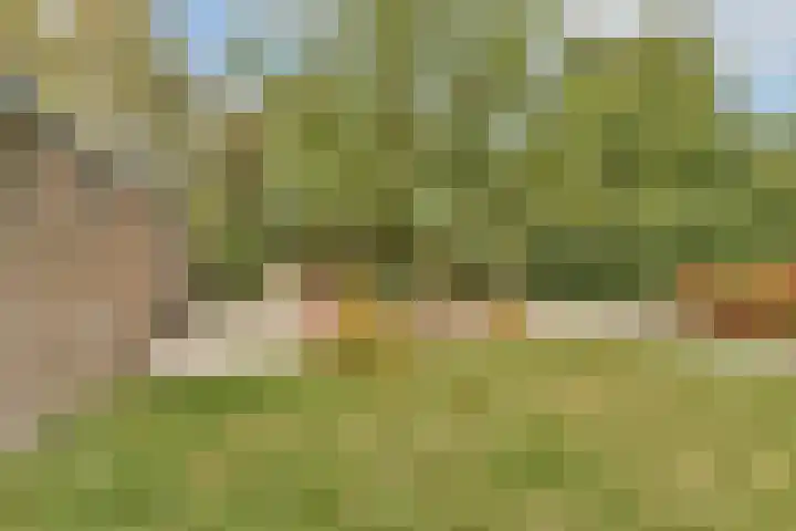 Stevinstraat 21 Badhoevedorp thumbnail 13