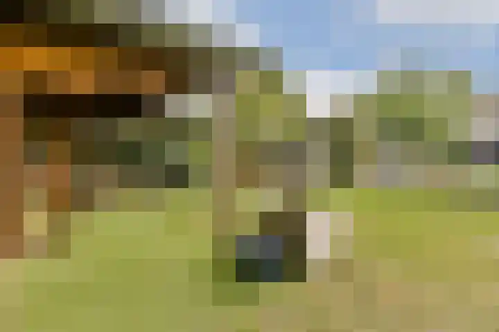 Stevinstraat 21 Badhoevedorp thumbnail 15