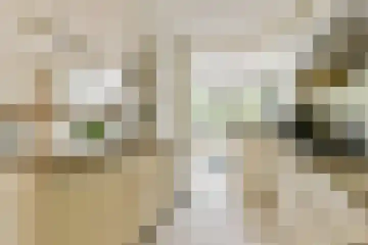 Stevinstraat 21 Badhoevedorp thumbnail 7
