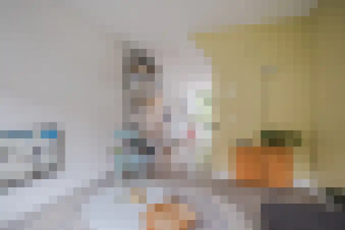 Stevinstraat 21 Eindhoven thumbnail 12