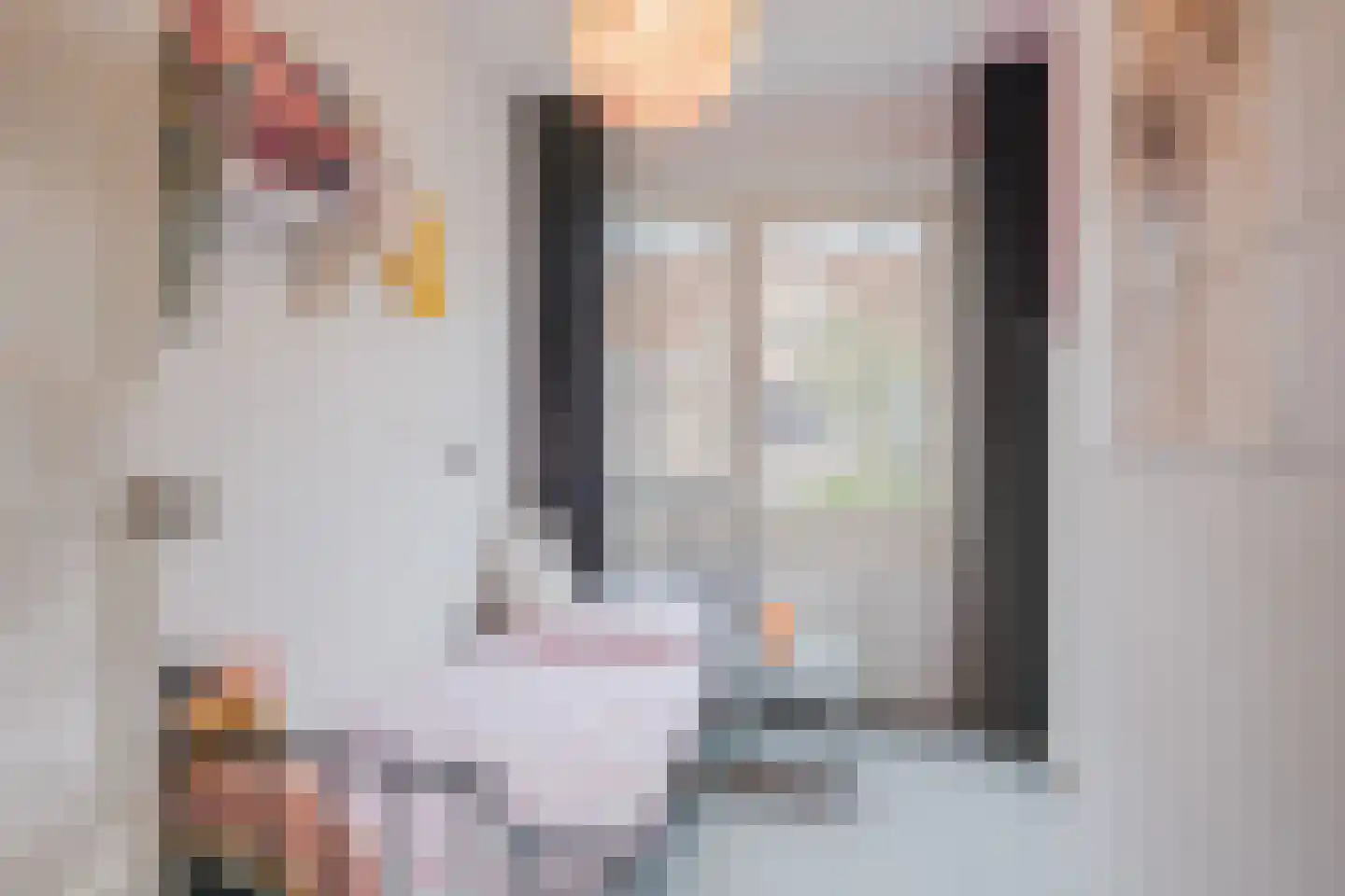 Stevinstraat 21 Eindhoven thumbnail 23
