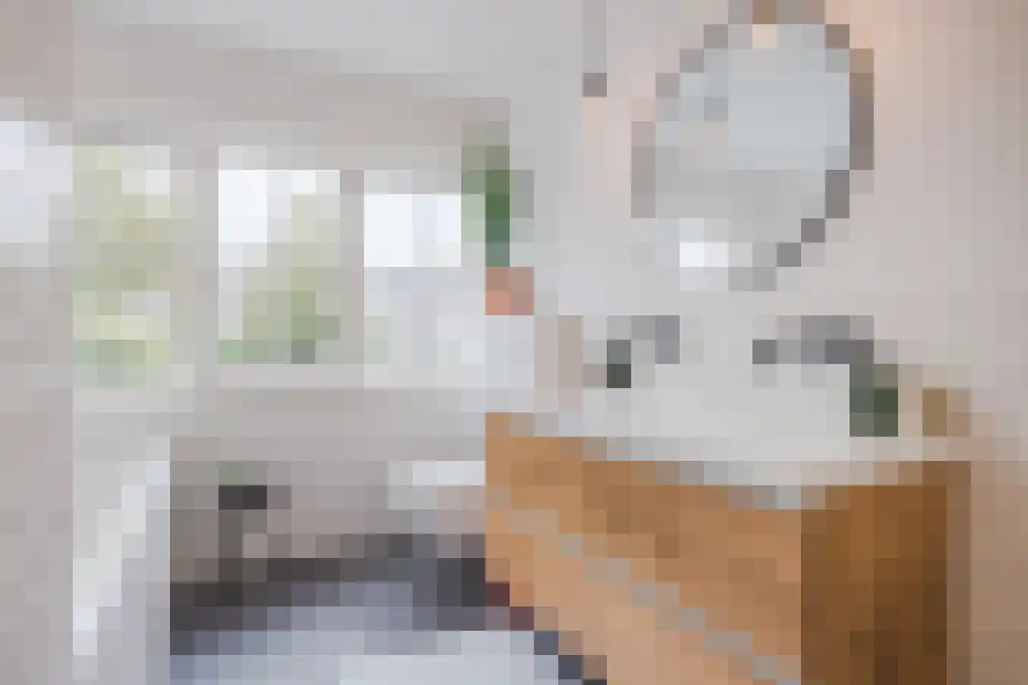 Stevinstraat 21 Eindhoven thumbnail 29
