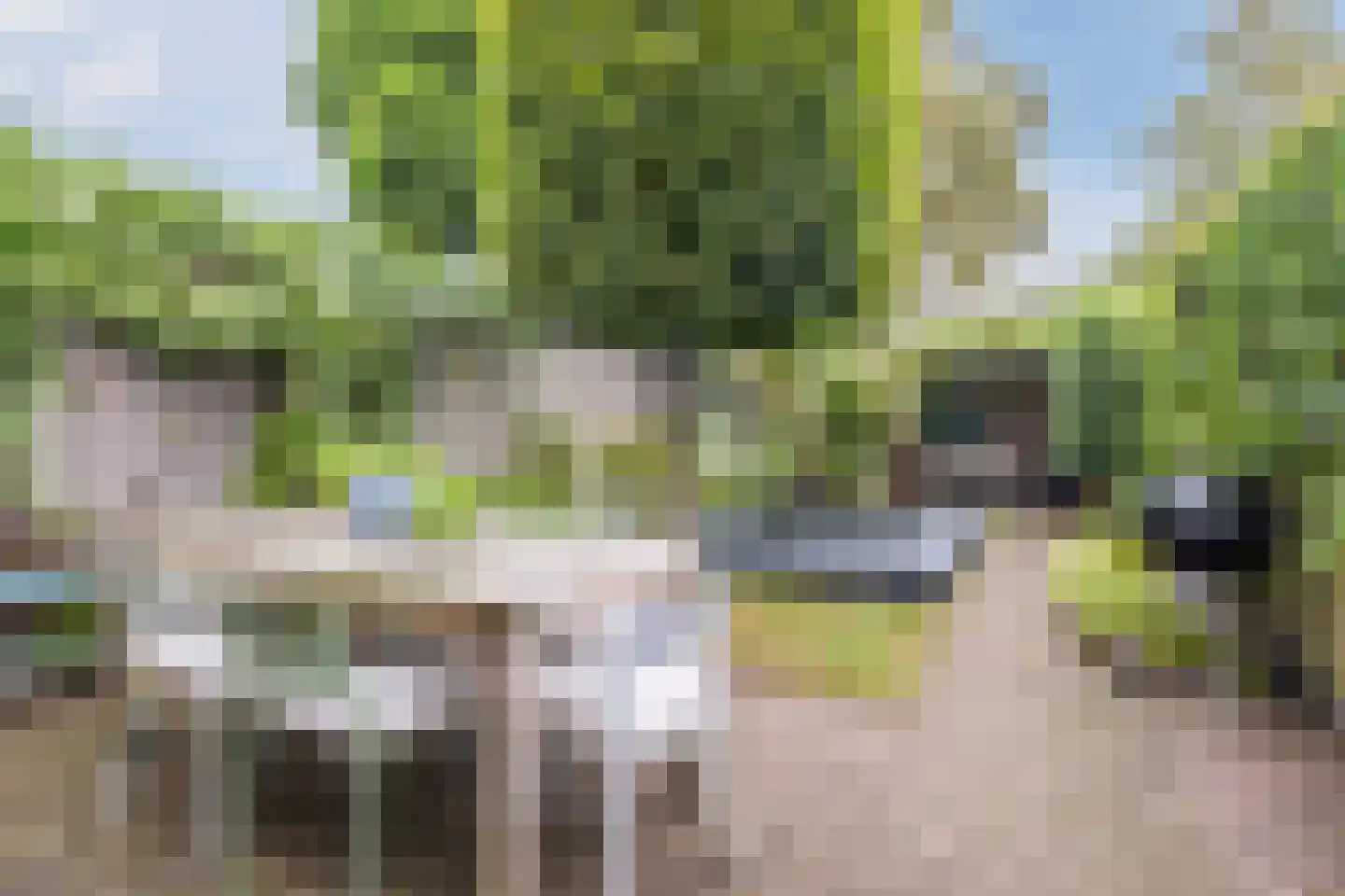Stevinstraat 21 Eindhoven thumbnail 35