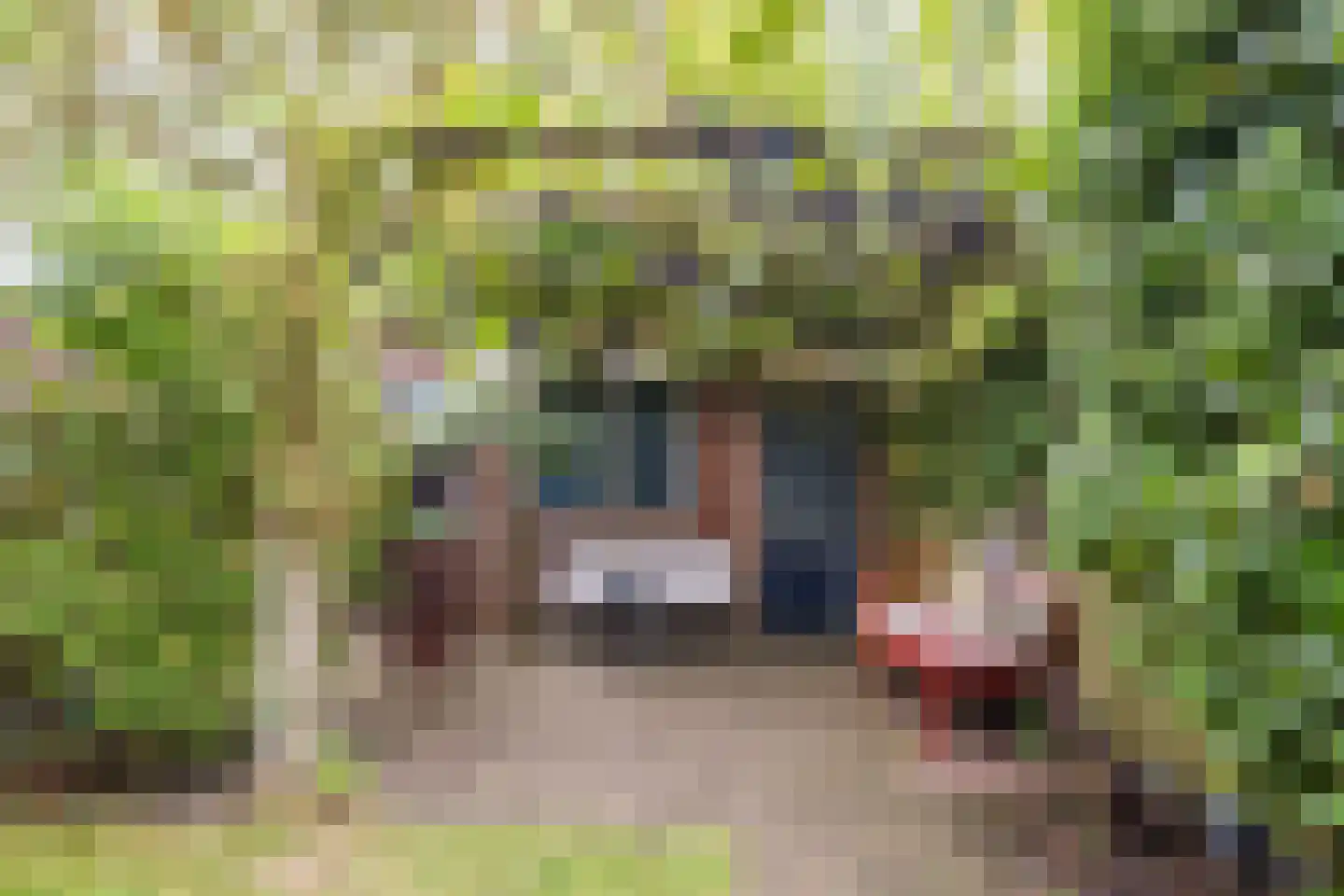Stevinstraat 21 Eindhoven thumbnail 39