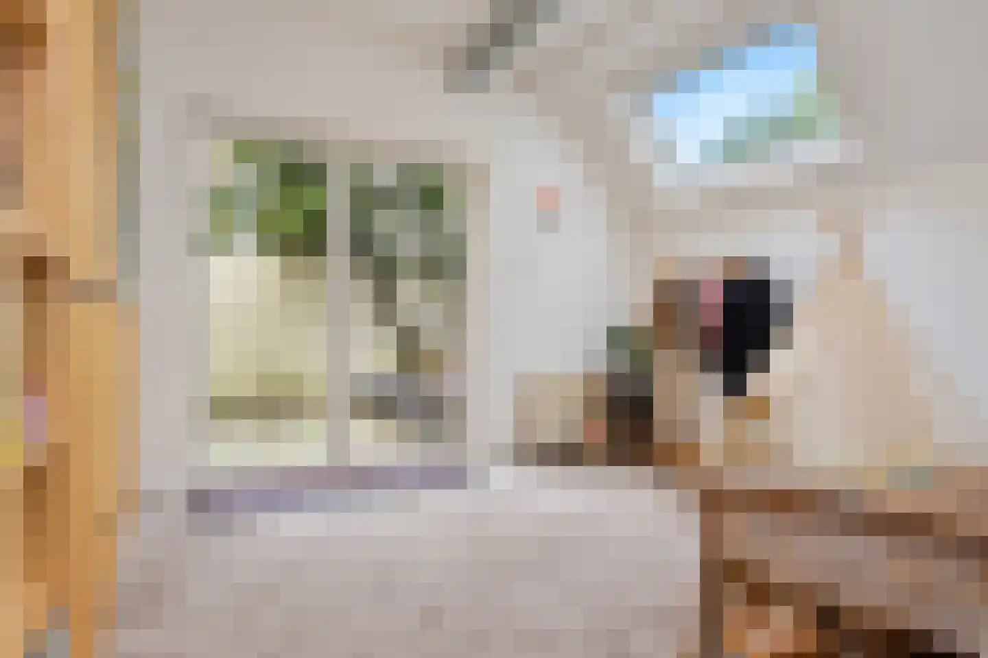 Stevinstraat 24 Den Haag thumbnail 11