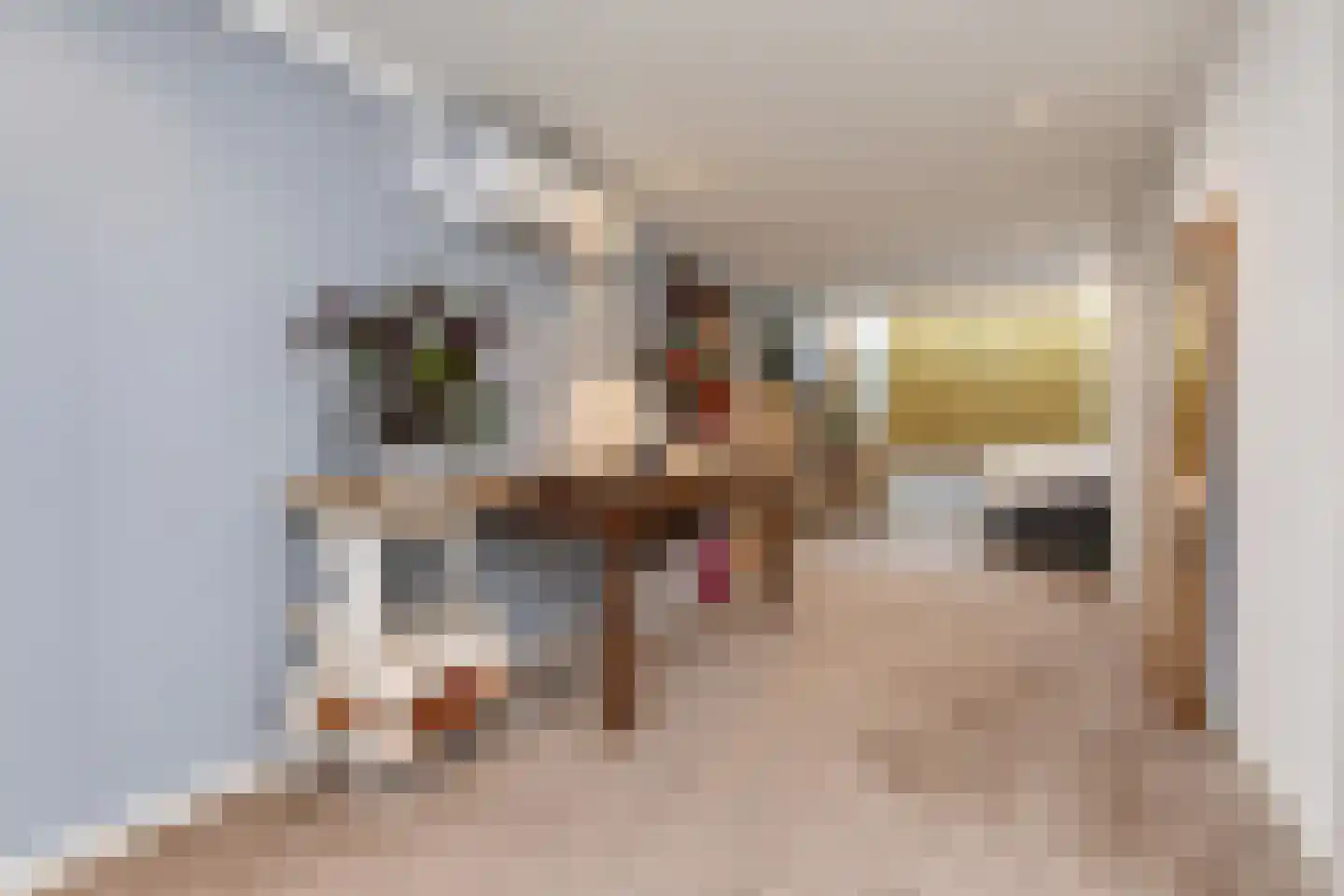 Stevinstraat 24 Den Haag thumbnail 25