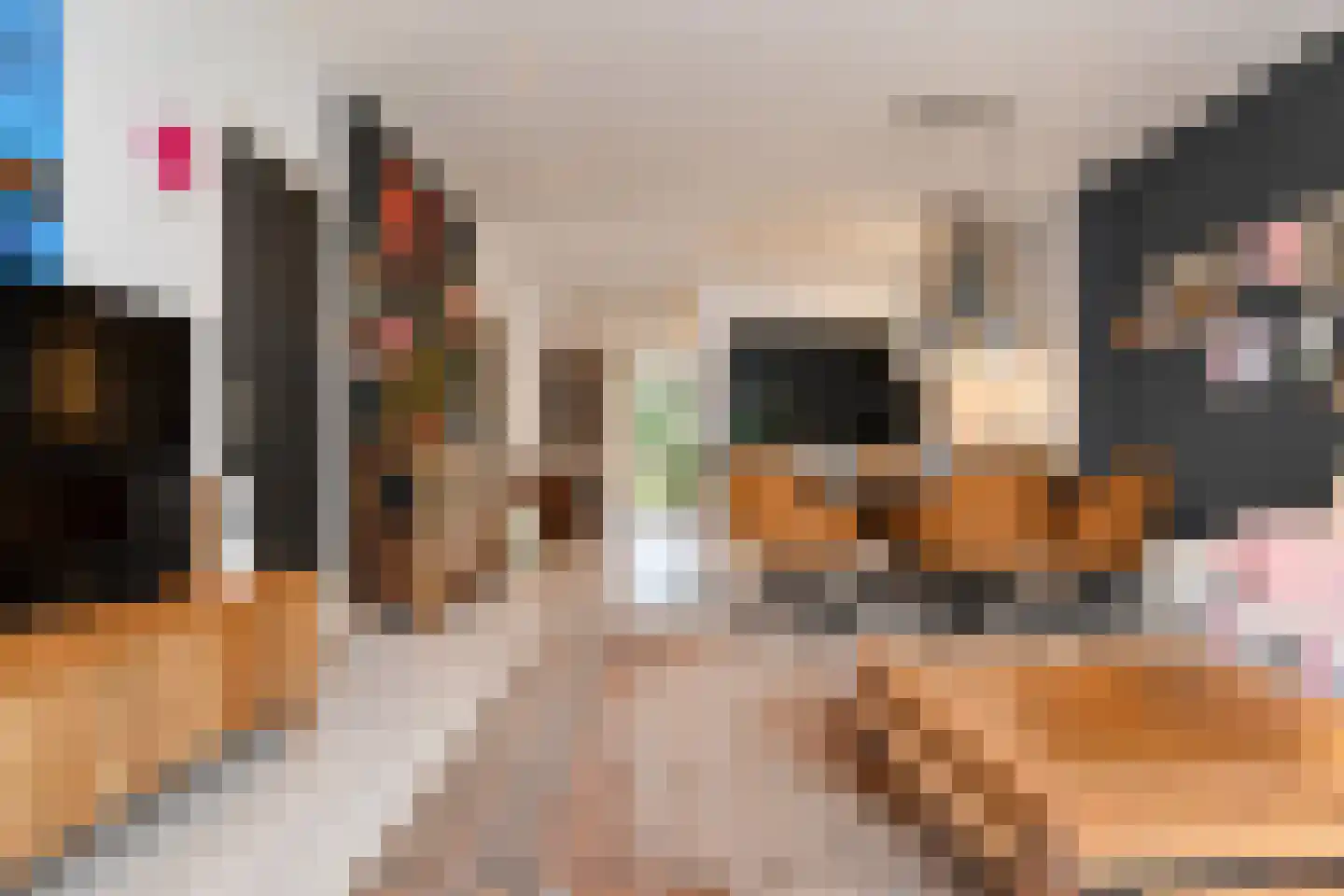 Stevinstraat 24 Den Haag thumbnail 4