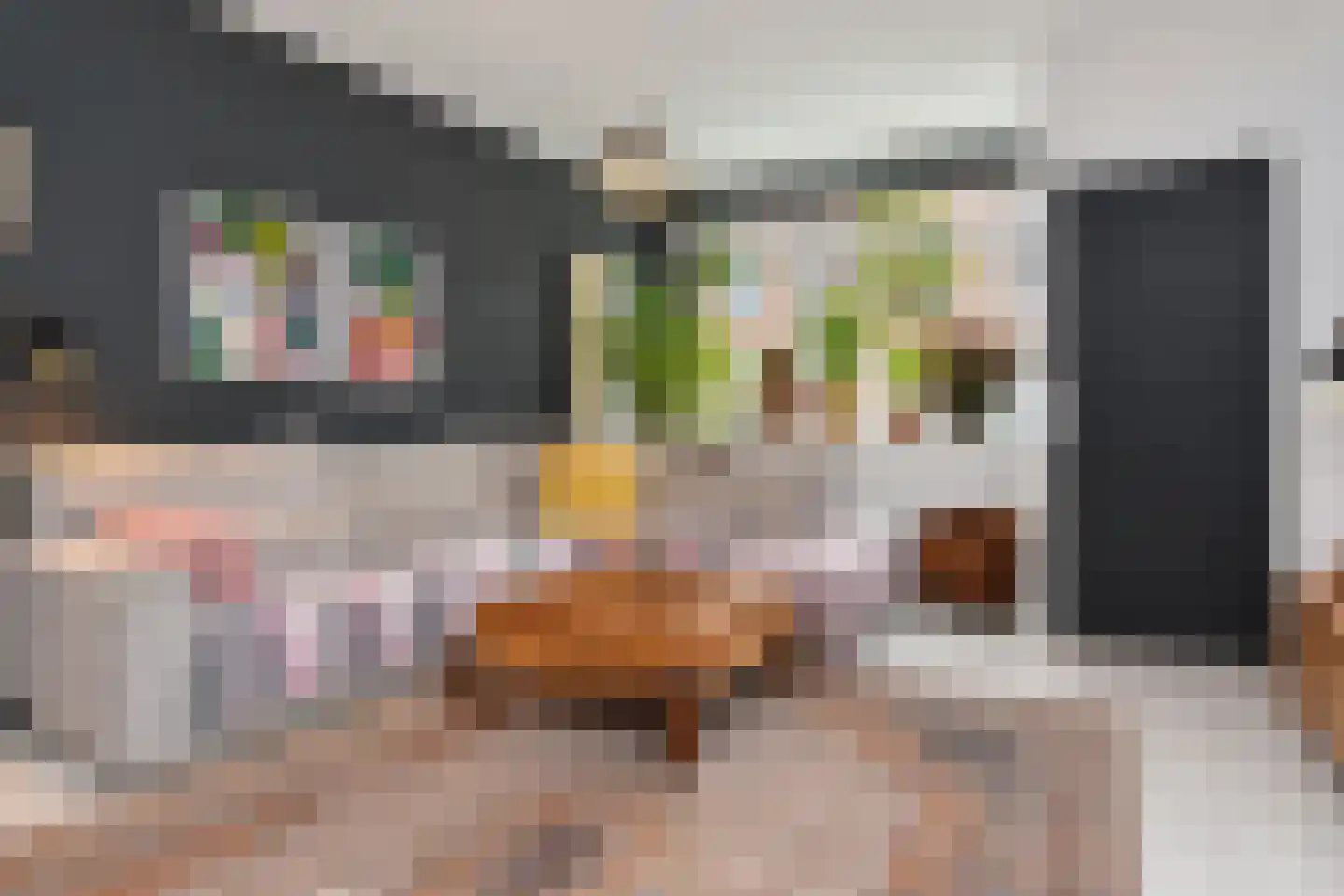 Stevinstraat 24 Den Haag thumbnail 6