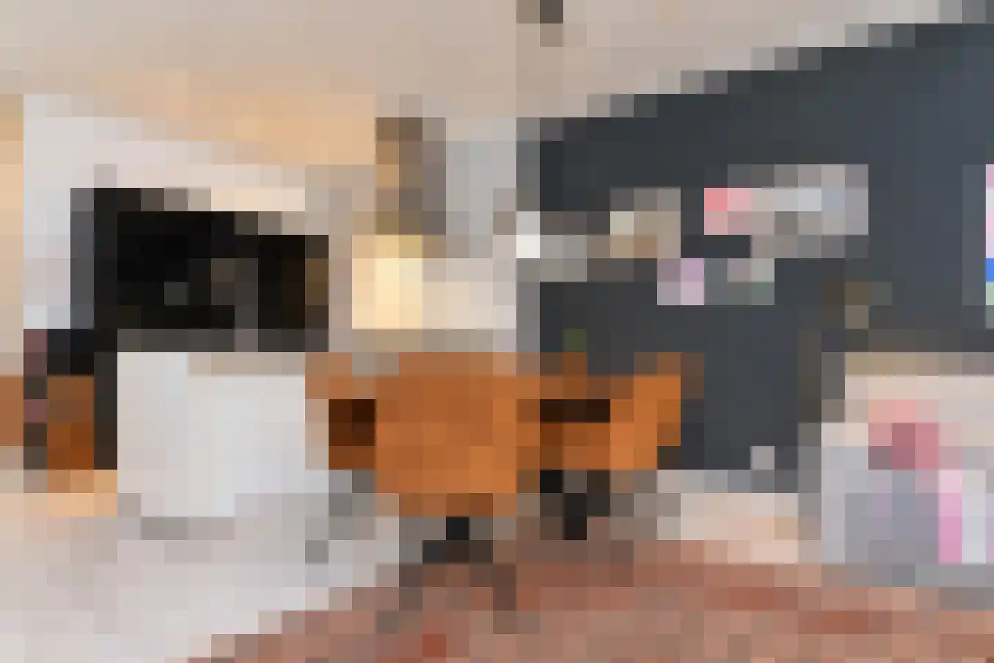 Stevinstraat 24 Den Haag thumbnail 7