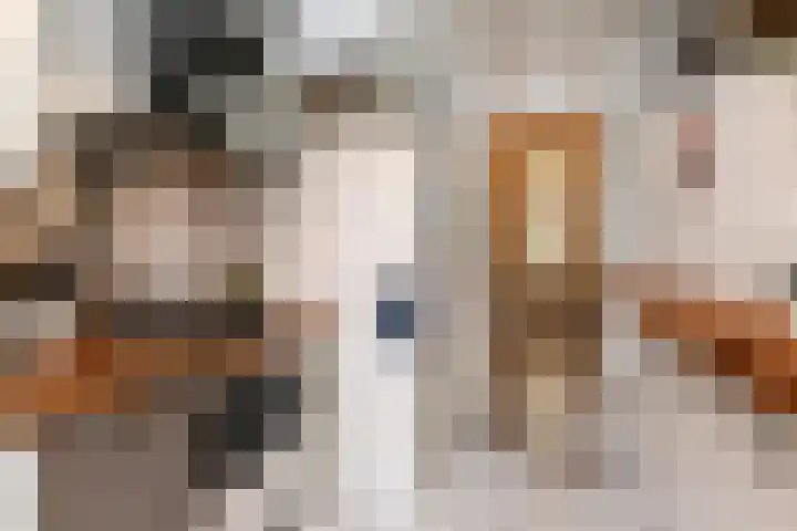 Stevinstraat 26 Den Haag thumbnail 13
