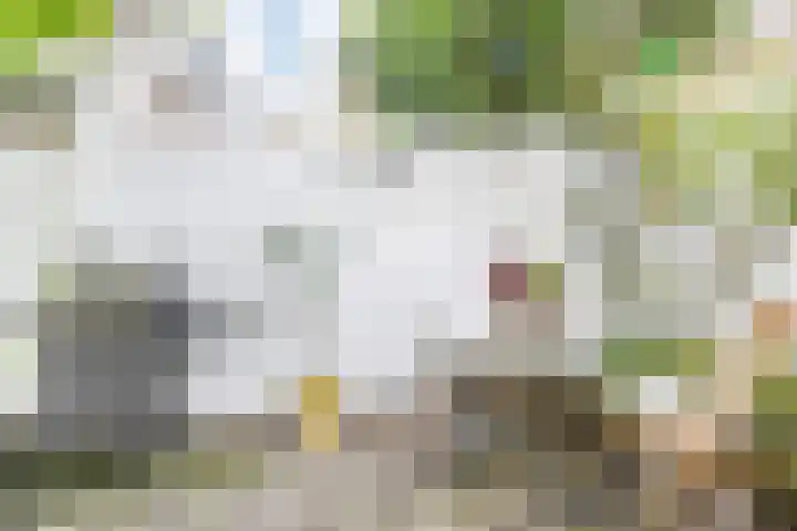 Stevinstraat 26 Den Haag thumbnail 24