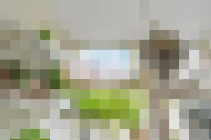 Stevinstraat 26 Den Haag thumbnail 25
