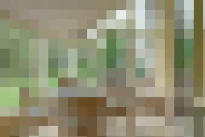 Stevinstraat 28 Middenmeer thumbnail 30