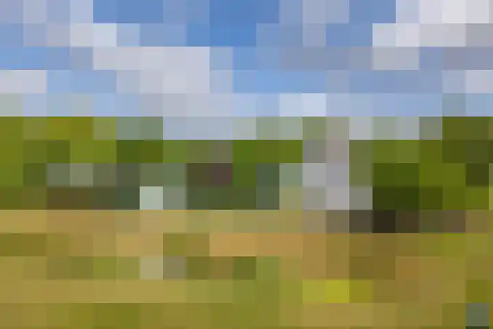 Stevinstraat 28 Middenmeer thumbnail 44