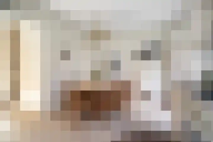 Stevinstraat 31 Middenmeer thumbnail 12