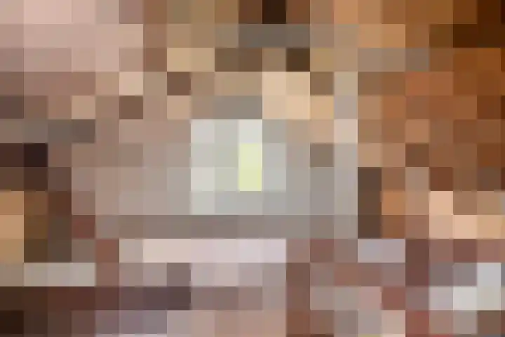 Stevinstraat 31 Middenmeer thumbnail 18