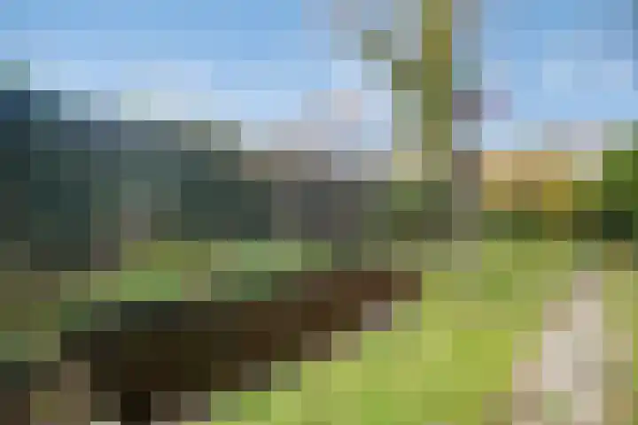 Stevinstraat 31 Middenmeer thumbnail 20