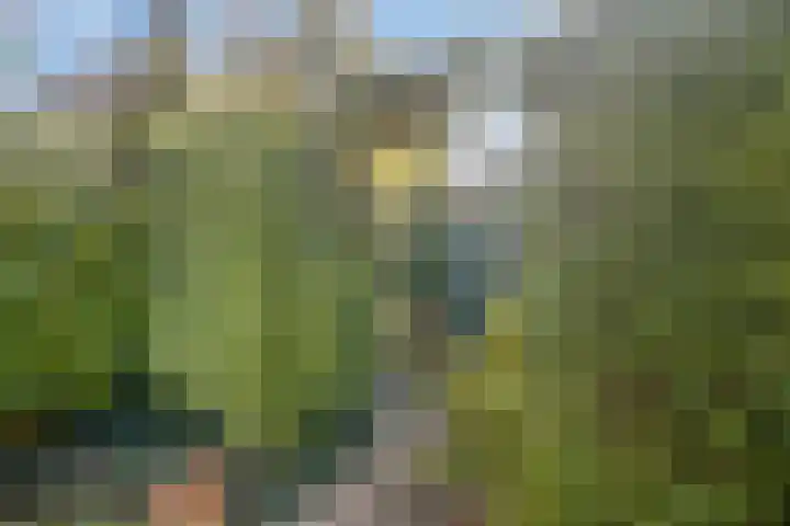 Stevinstraat 31 Middenmeer thumbnail 23