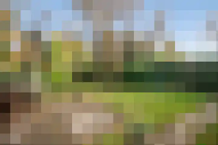 Stevinstraat 31 Middenmeer foto 3