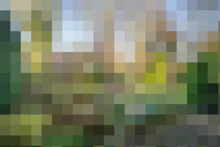 Stevinstraat 31 Middenmeer thumbnail 4