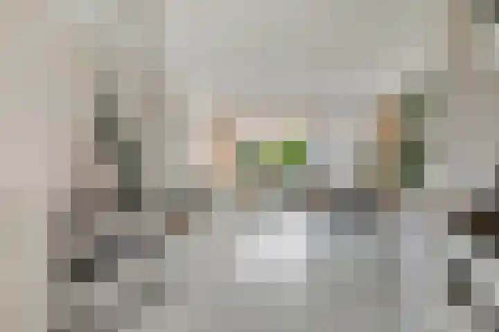 Stevinstraat 32 Schoonhoven foto 2