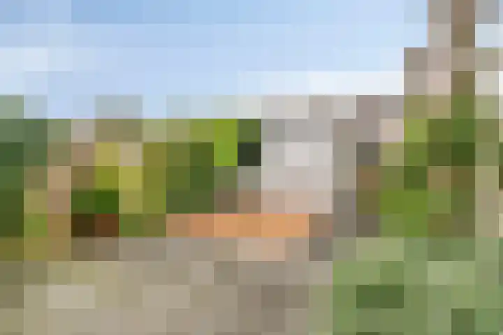 Stevinstraat 32 Schoonhoven thumbnail 27