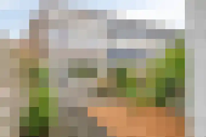 Stevinstraat 32 Schoonhoven thumbnail 30