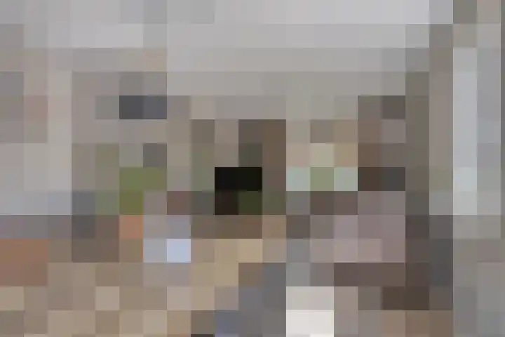 Stevinstraat 4 Middenmeer thumbnail 10