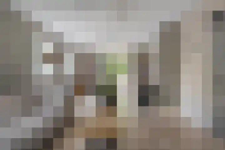 Stevinstraat 4 Middenmeer foto 3