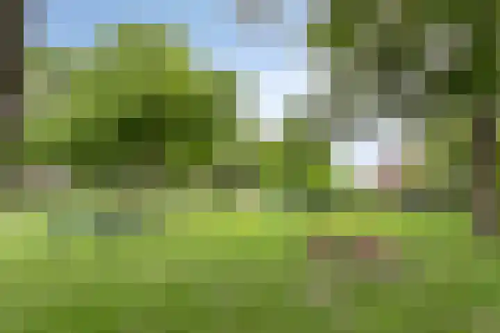 Stevinstraat 4 Middenmeer thumbnail 38