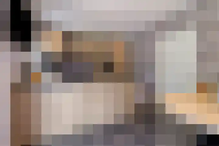 Stevinstraat 4 Middenmeer thumbnail 4