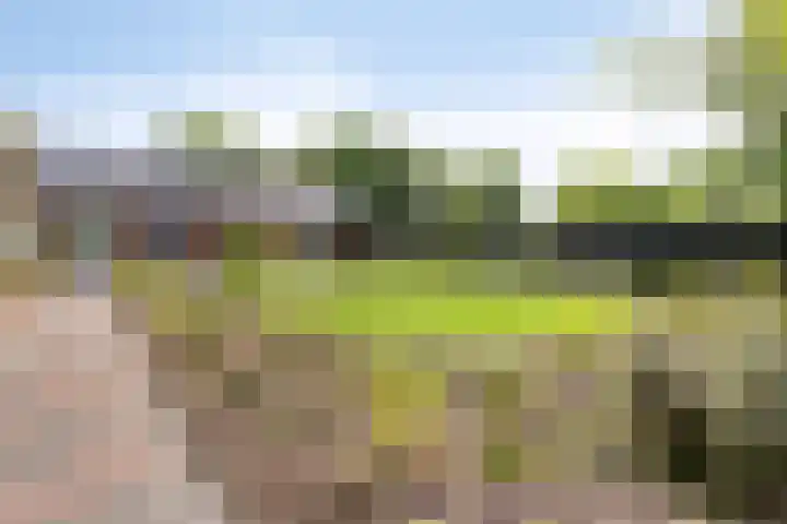 Stevinstraat 4 Middenmeer thumbnail 6
