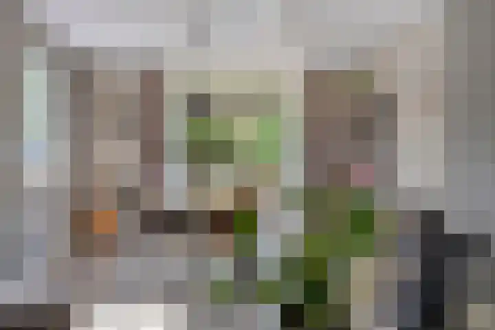 Stevinstraat 4 Middenmeer thumbnail 9