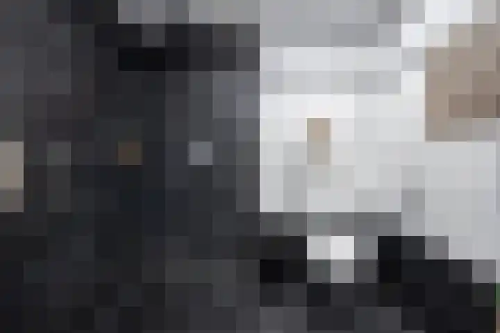 Stevinstraat 4 Schoonhoven thumbnail 16
