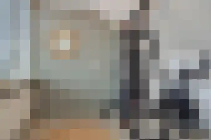Stevinstraat 4 Schoonhoven thumbnail 23