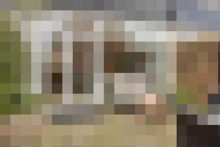 Stevinstraat 4 Schoonhoven thumbnail 25