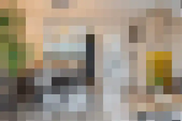 Stevinstraat 4 Schoonhoven foto 3