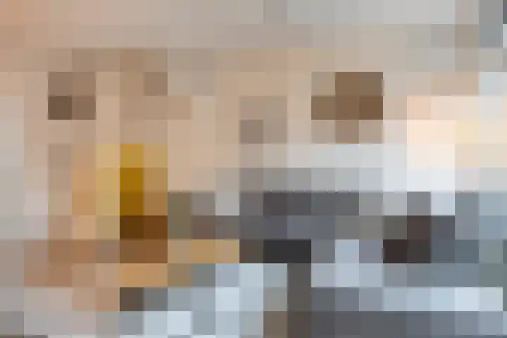 Stevinstraat 4 Schoonhoven thumbnail 6