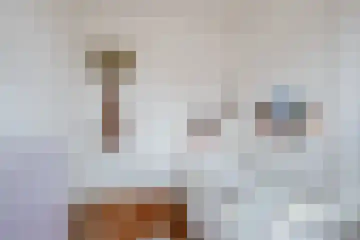 Stevinstraat 41 Eindhoven thumbnail 23