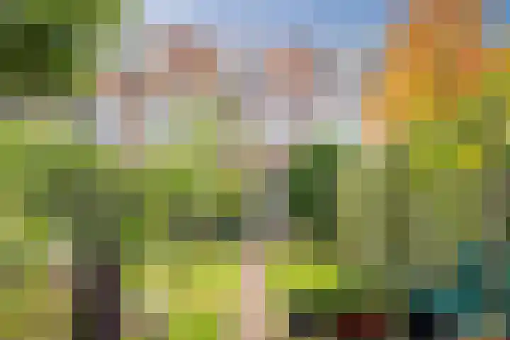 Stevinstraat 41 Eindhoven thumbnail 31