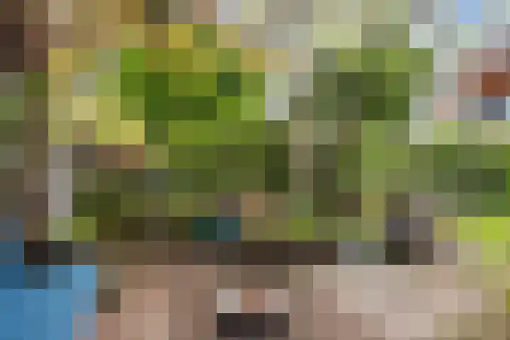 Stevinstraat 41 Eindhoven thumbnail 36
