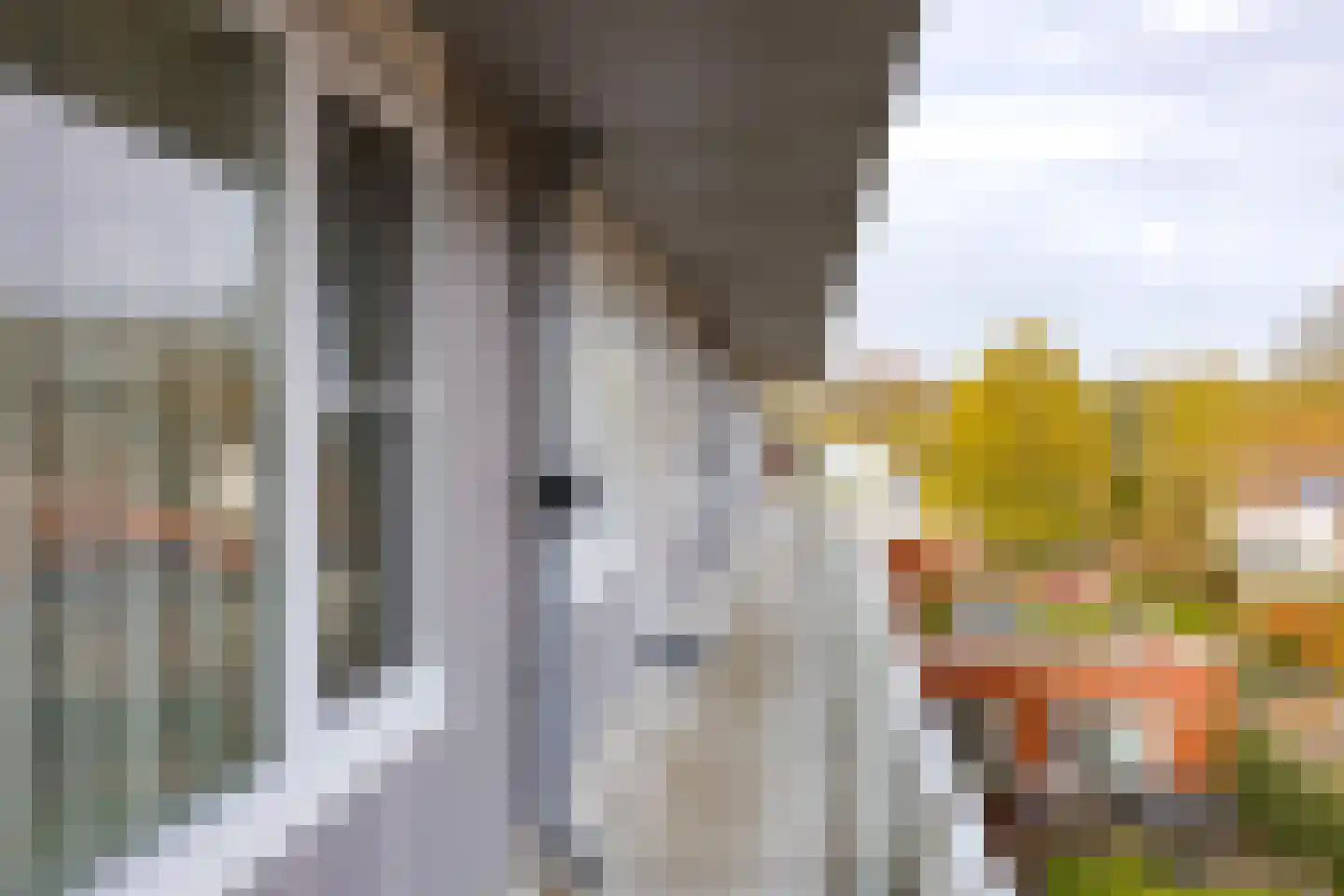 Stevinstraat 45 Alphen aan den Rijn thumbnail 22