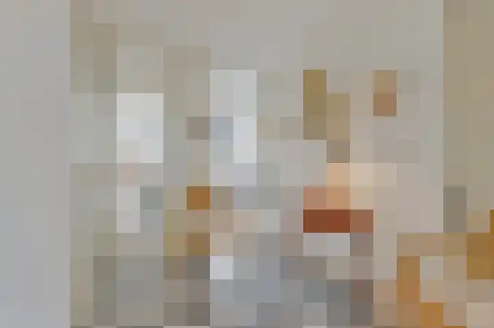 Stevinstraat 457 Den Haag thumbnail 19