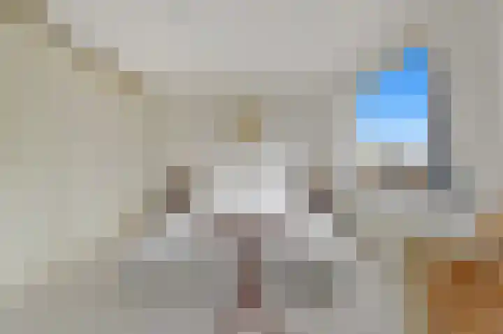 Stevinstraat 457 Den Haag thumbnail 31
