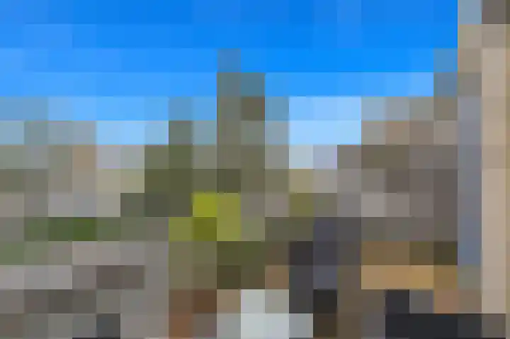 Stevinstraat 457 Den Haag thumbnail 4