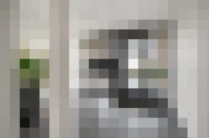Stevinstraat 457 Den Haag thumbnail 6