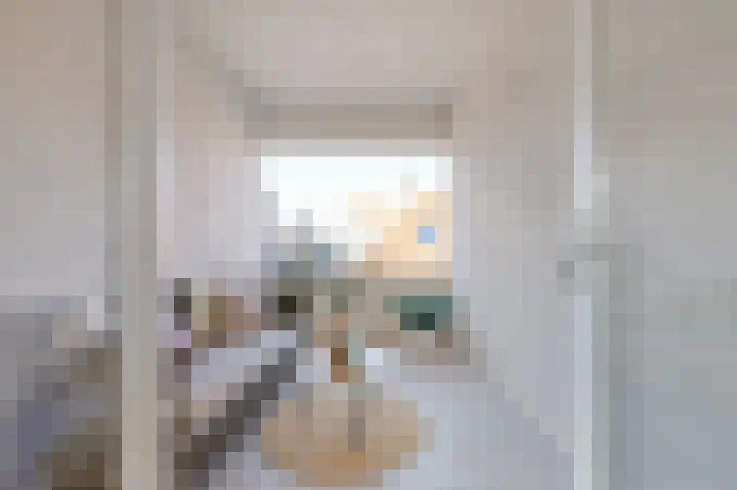 Stevinstraat 56 A Den Haag thumbnail 15