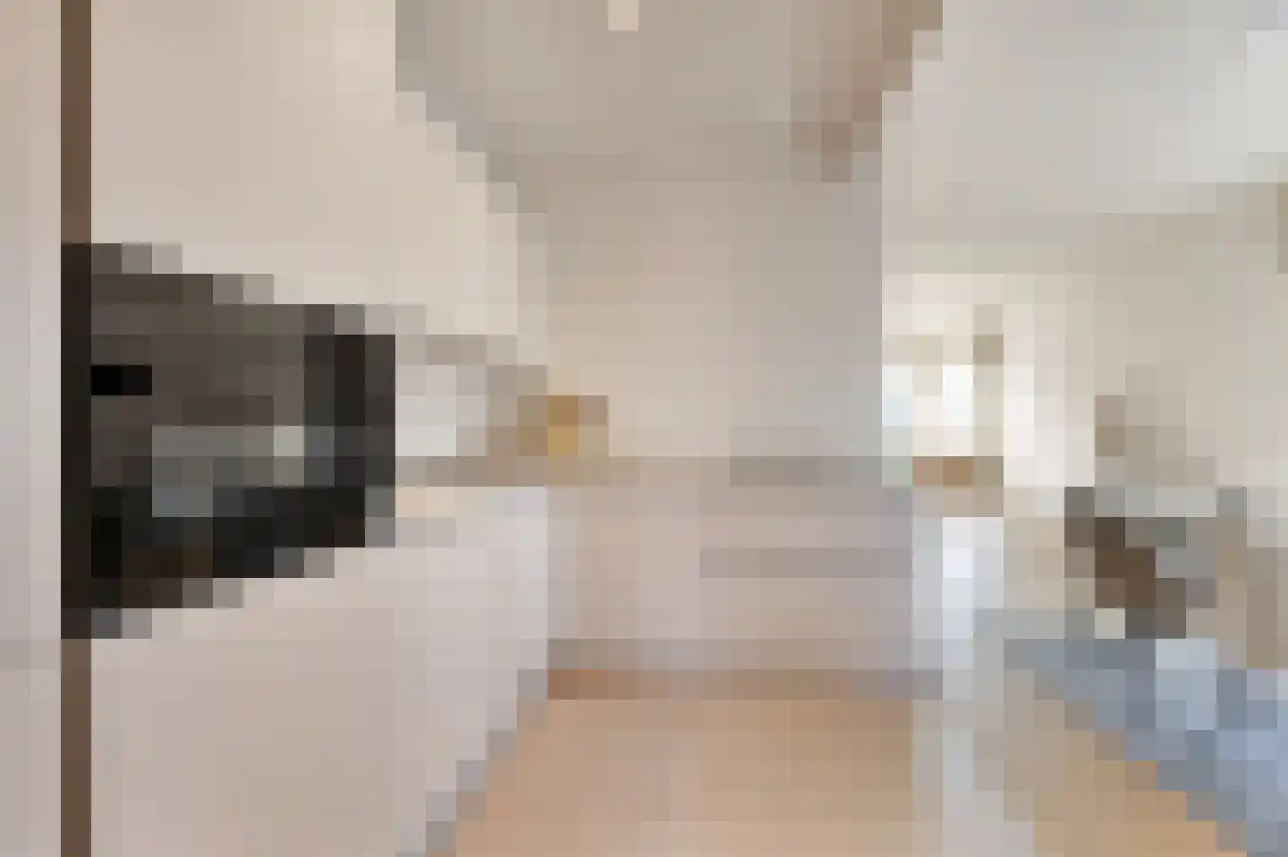 Stevinstraat 56 A Den Haag thumbnail 17