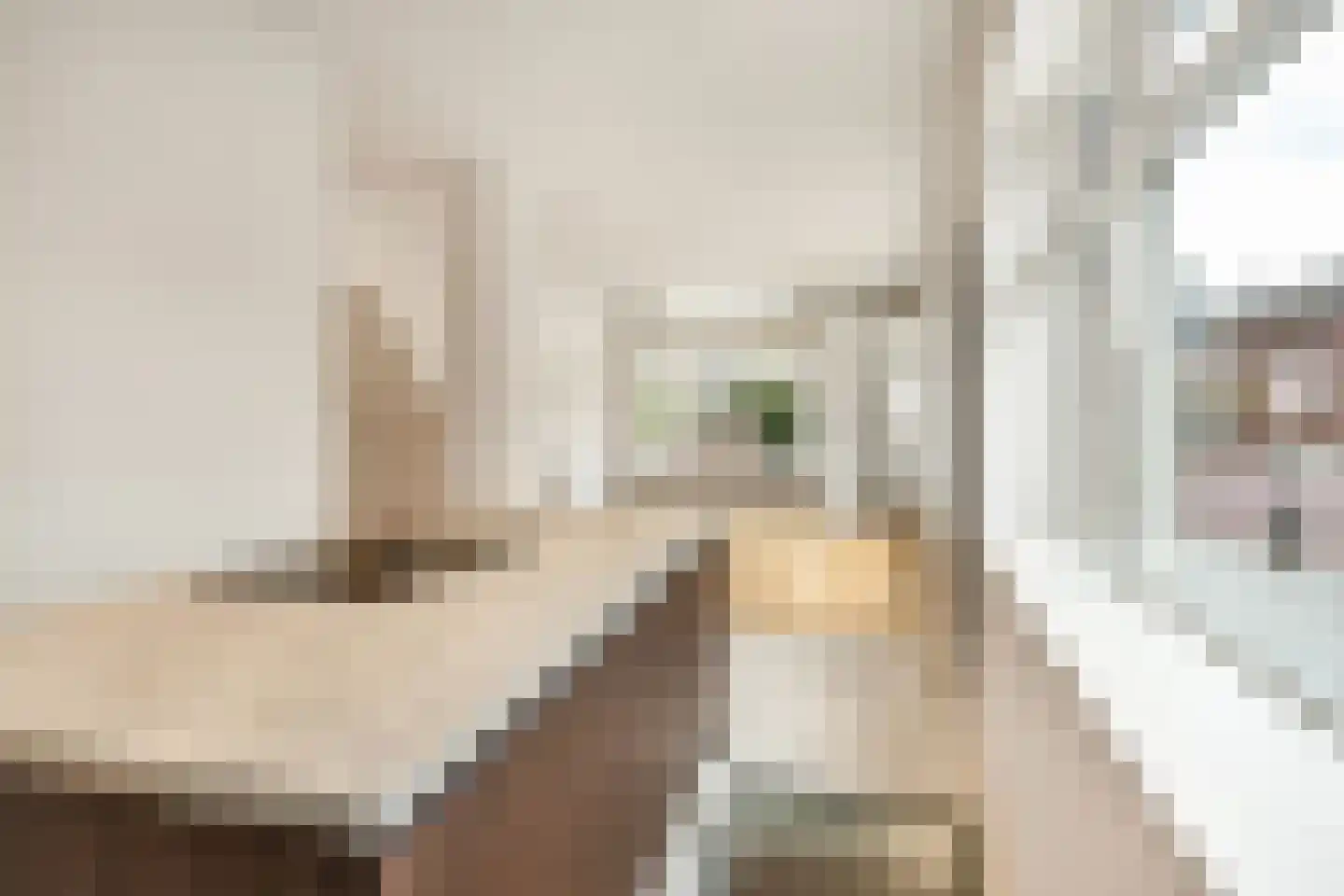 Stevinstraat 56 A Den Haag thumbnail 17