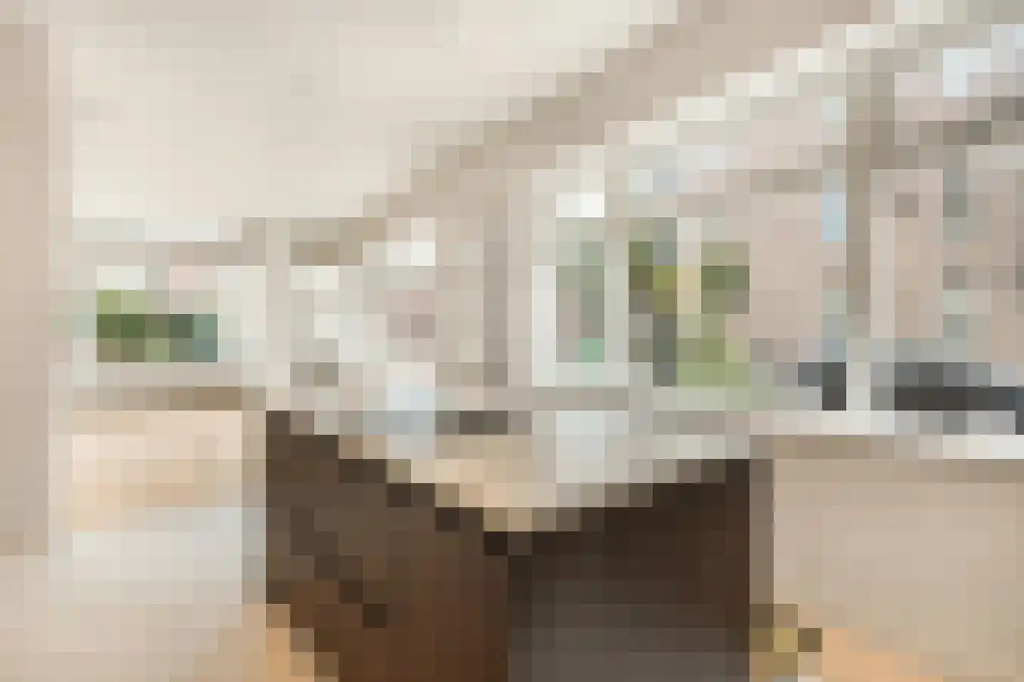 Stevinstraat 56 A Den Haag thumbnail 19